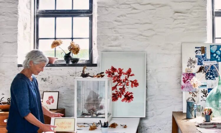 Seaweed Art work | Cup of Jo